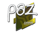 paz | Boston 2018 image